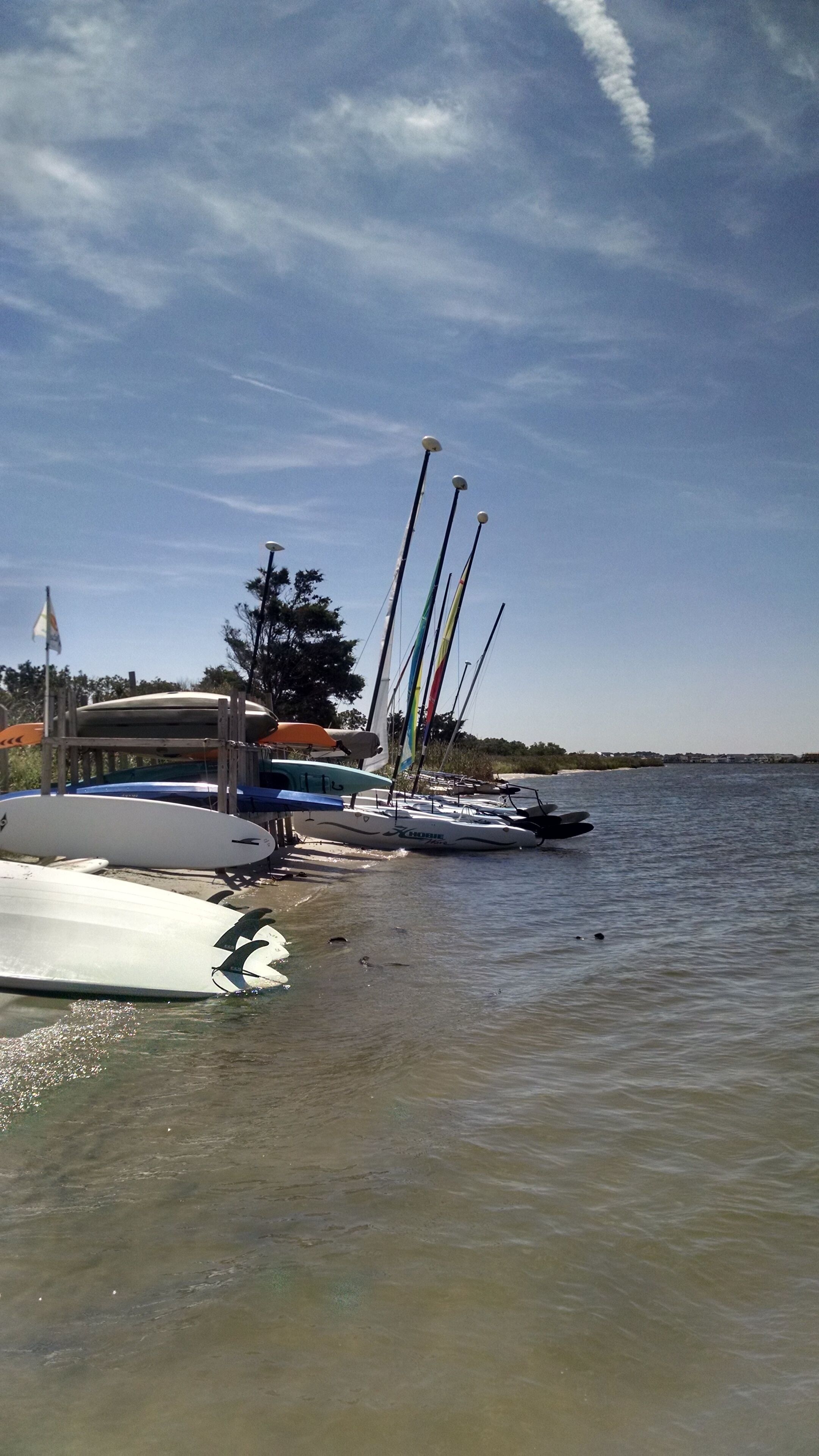 A marina with several sailboats docked.