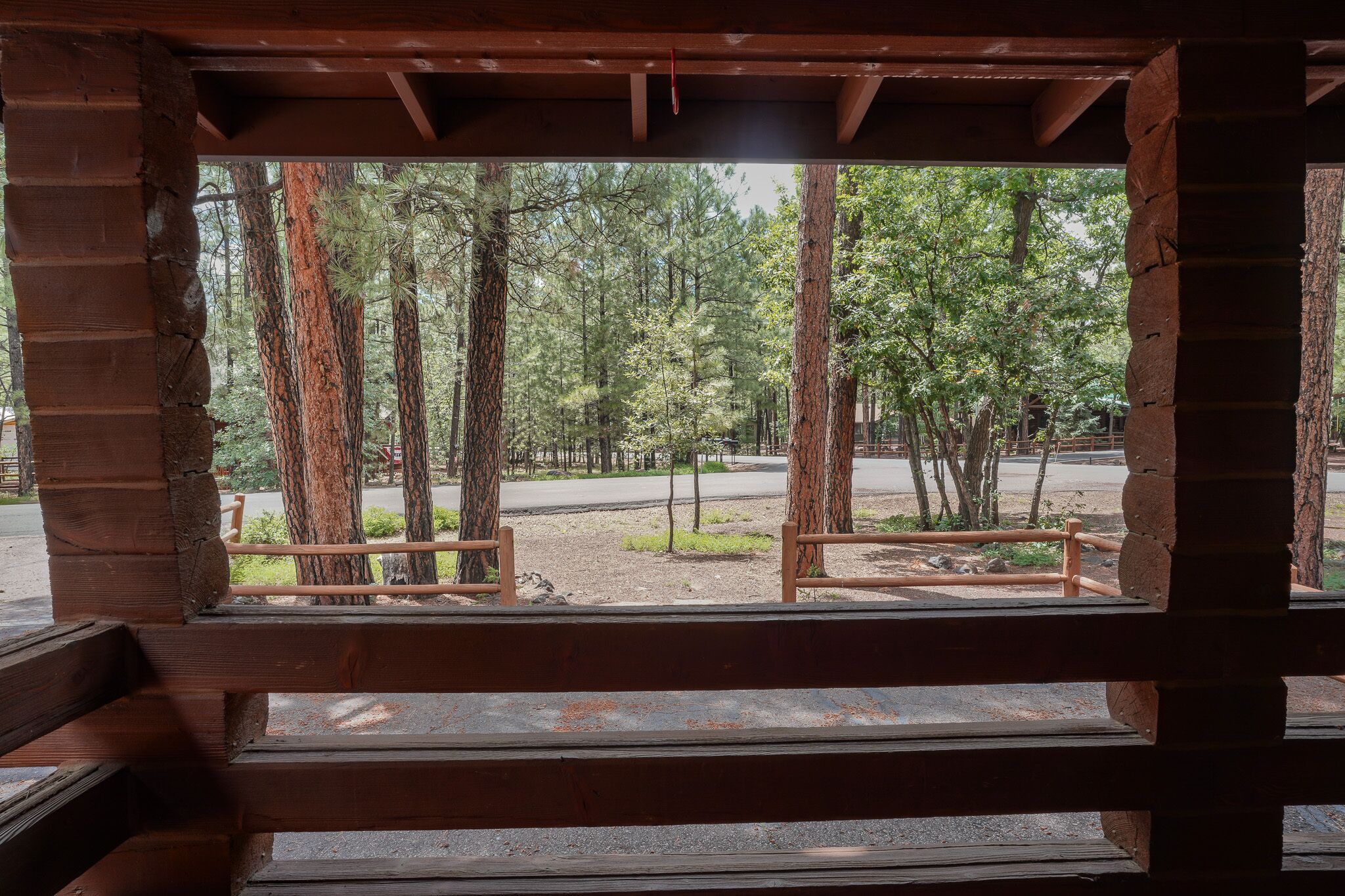 A wooden cabin with a view of a forested area and a paved road.