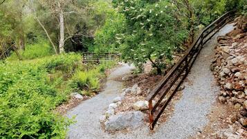 Àrea exterior de l'allotjament