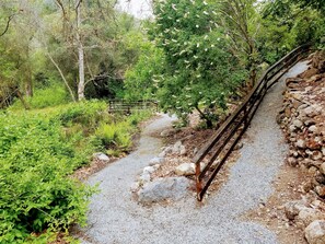 Terrain de l’hébergement 