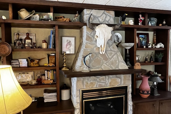 That is a buffalo head!