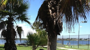A landscaped area with palm trees, a grassy field, and a view of a body of water.