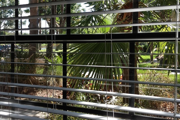 1st Floor Bedroom View