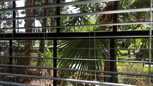 A window with horizontal blinds, through which a lush garden with palm trees and other greenery is visible.