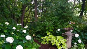 A garden with hydrangea bushes, a stone fountain, and a wooden fence. - The Garden Cottage. (Stilwell)