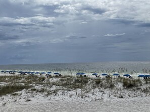 A beach with rows of blue umbrellas and beach chairs, a sandy foreground, and a cloudy sky. - Directly on the Beach (Fort Walton Beach)