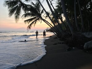 On the beach - Tropical Oceanfront Half Acre 2 Houses & 2 Pools (Esterillos Oeste)