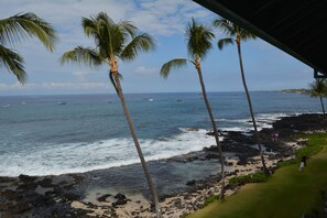 En la playa, camastros y toallas de playa 