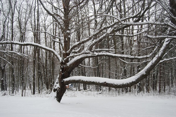 Sports d’hiver