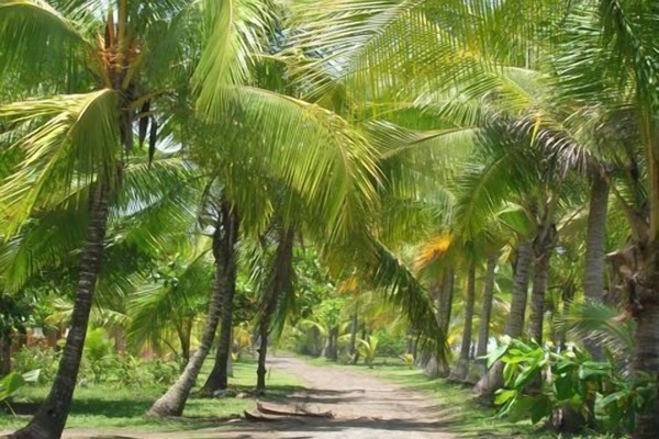 Beach front road