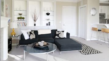 Smart TV, fireplace, DVD player, books