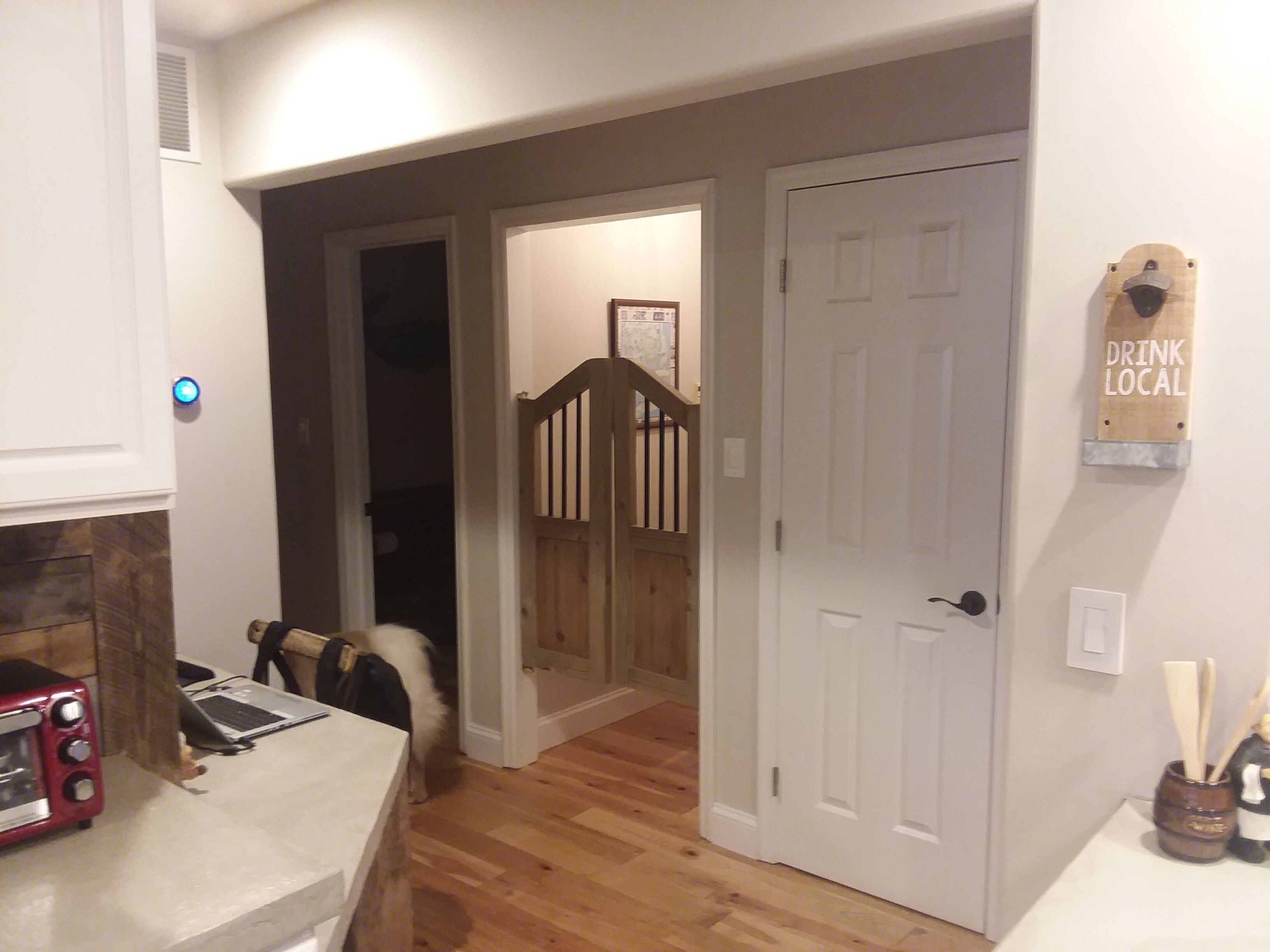 A kitchen with a red toaster, a laptop on the counter, and a dog in the doorway.