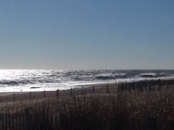 Sun loungers - Ocean Retreat -  Rustic style house  w/pool (Rehoboth Beach)