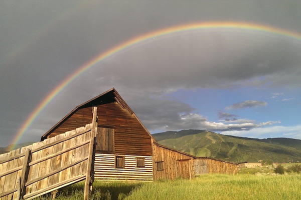 Summertime looking up towards mountain from Steamboat Barn