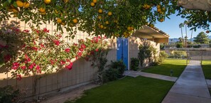 Property grounds - Luxury Midcentury Modern   (Palm Desert)