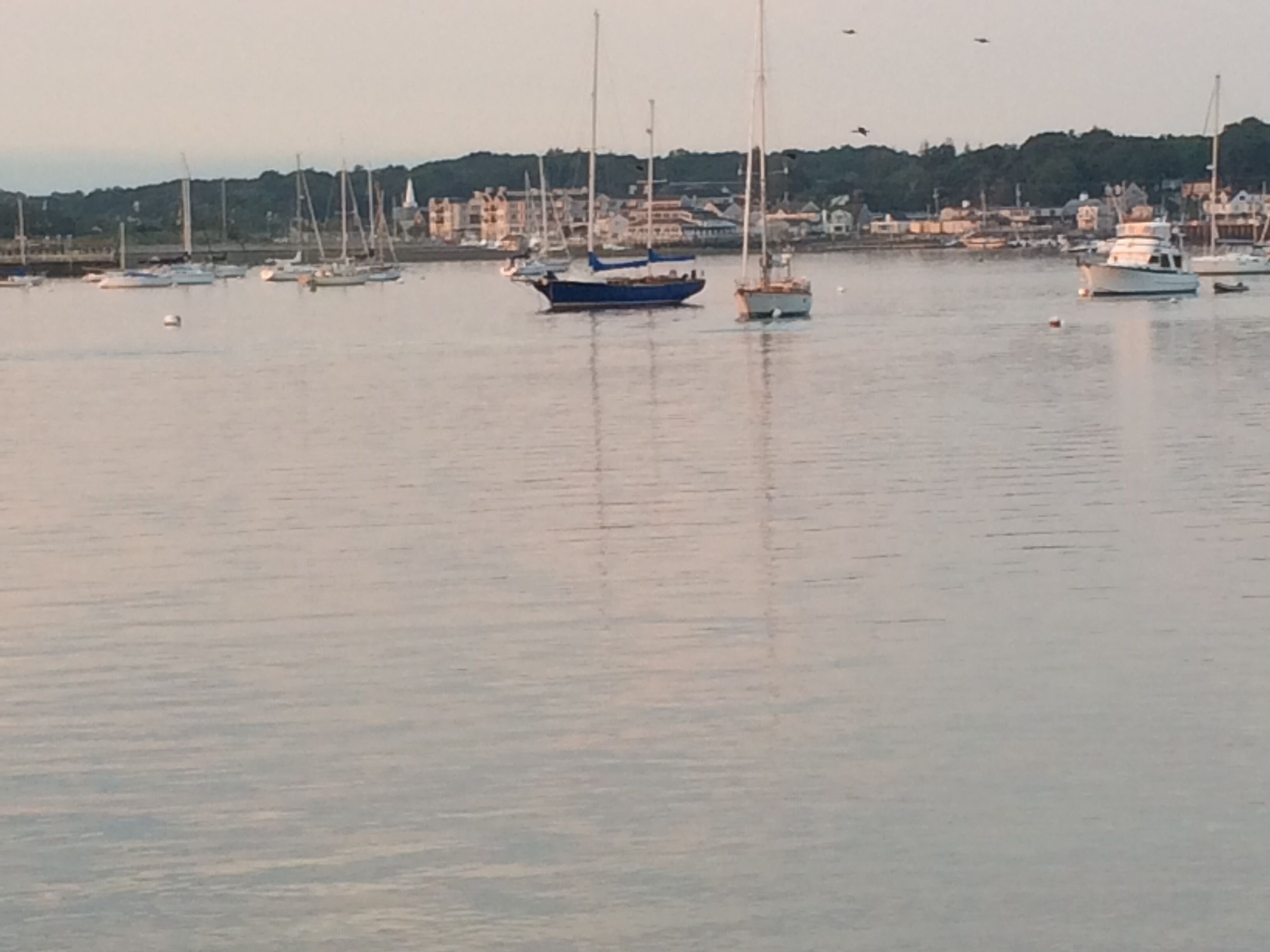 Spectacular Harbor Views - 50 Yards To Two Different Sandy Beaches