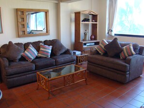 Smart TV, Netflix, table tennis, books