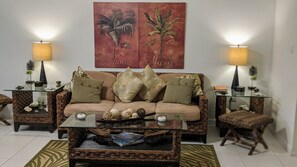 Una Smart TV, un reproductor de DVD, libros, una videoteca