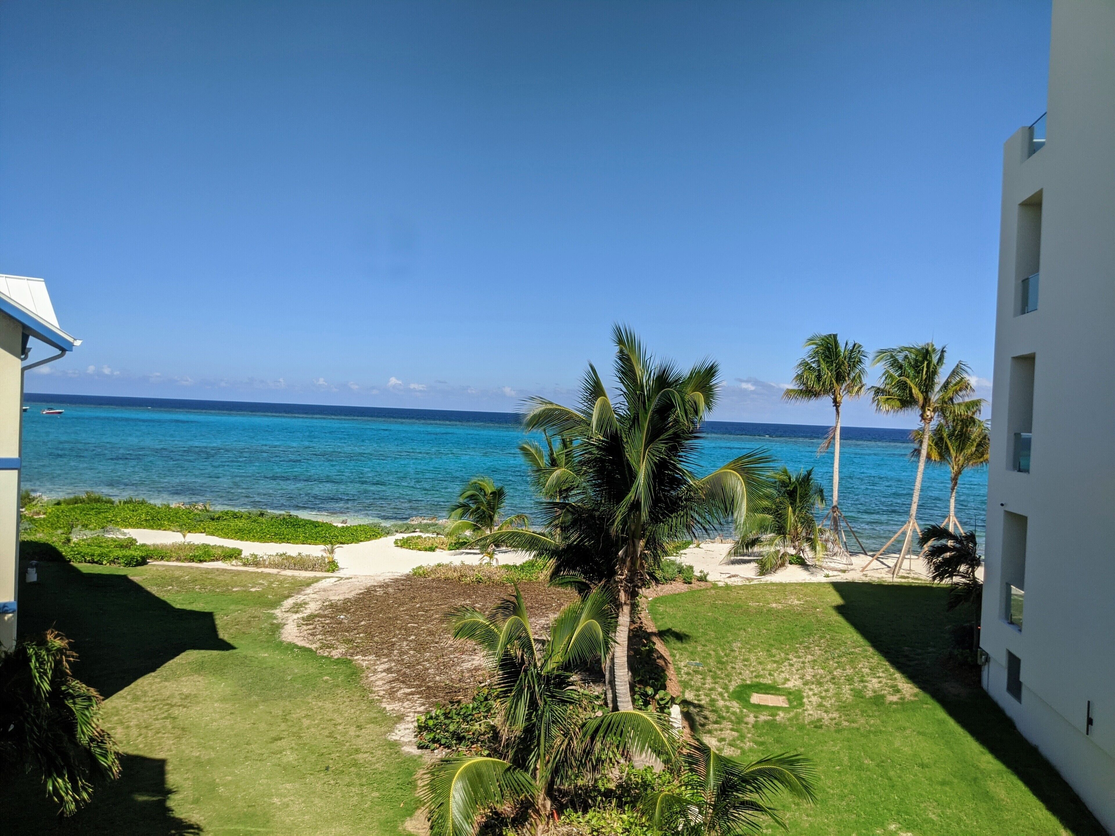 A view of a beach with palm trees and a clear blue sky.