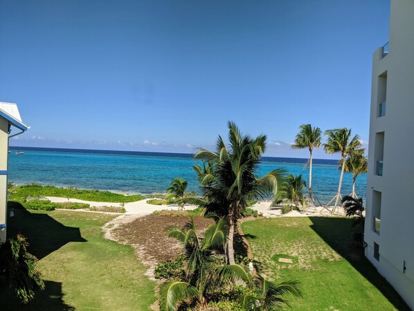 A view of a beach with palm trees and a clear blue sky.