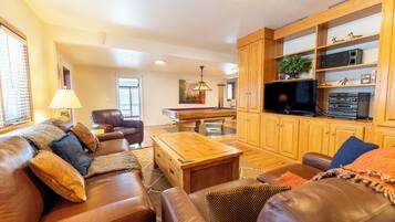 Télévision, cheminée, lecteur de DVD, livres