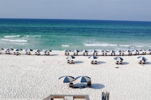 Une plage bordée de rangées de parasols et de chaises longues, un rivage sablonneux et l’océan en toile de fond.