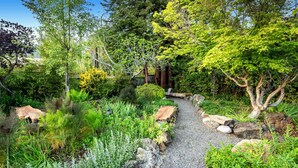 Un jardín con un camino de grava, diversas plantas y árboles.