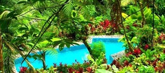 A unique tropical jungle experience amongst magical gardens and rainforest.