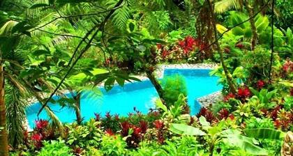 A unique tropical jungle experience amongst magical gardens and rainforest.