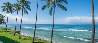 Papakea RESORT! - RENOVATED unit, GROUND FLOOR & steps to BEACH, POOL & BBQ

