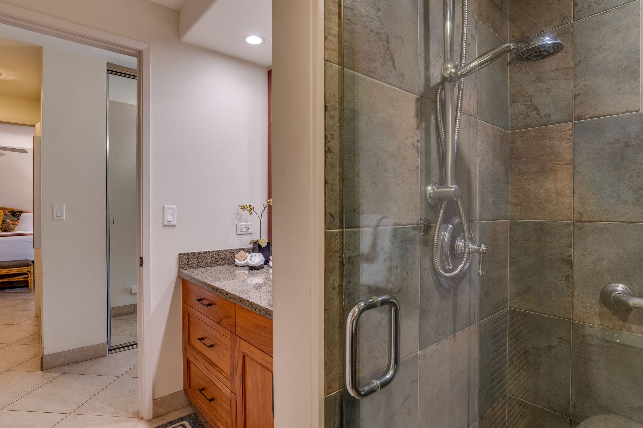 Shower, hair dryer, bidet, towels