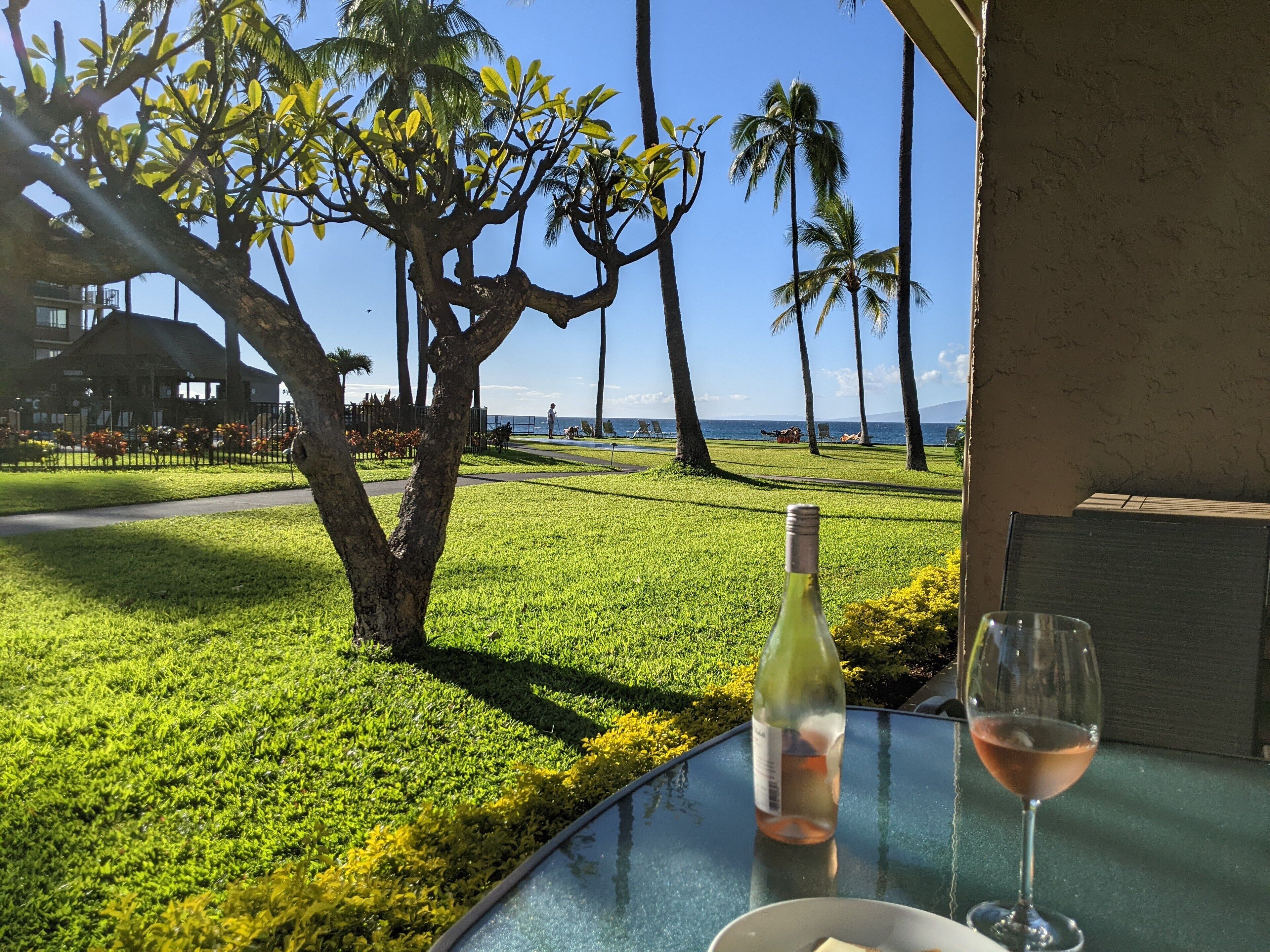 2 Bedroom Oceanview - Steps to the Pool and Ocean