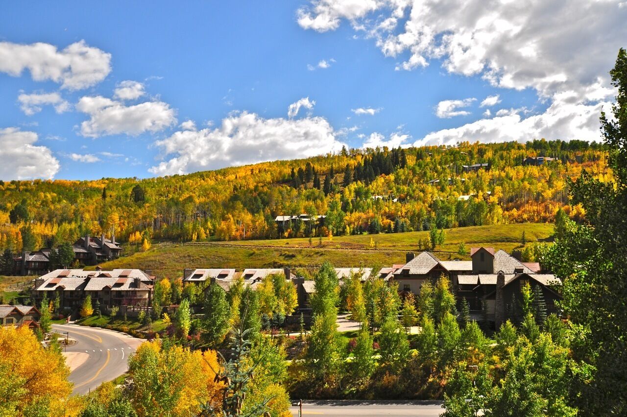 A resort with multiple buildings, a winding road, and a forested hillside.