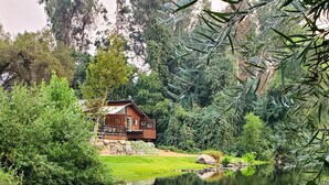 Una cabana de fusta amb terrassa, envoltada de vegetació exuberanta i un estany.