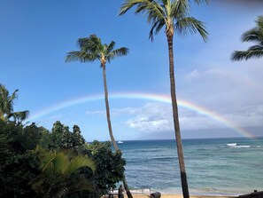 A beach with palm trees and a rainbow over the ocean. - Absolutely Beachfront -- Hale Mahina Beach Resort -- B206 (Napili-Honokowai)