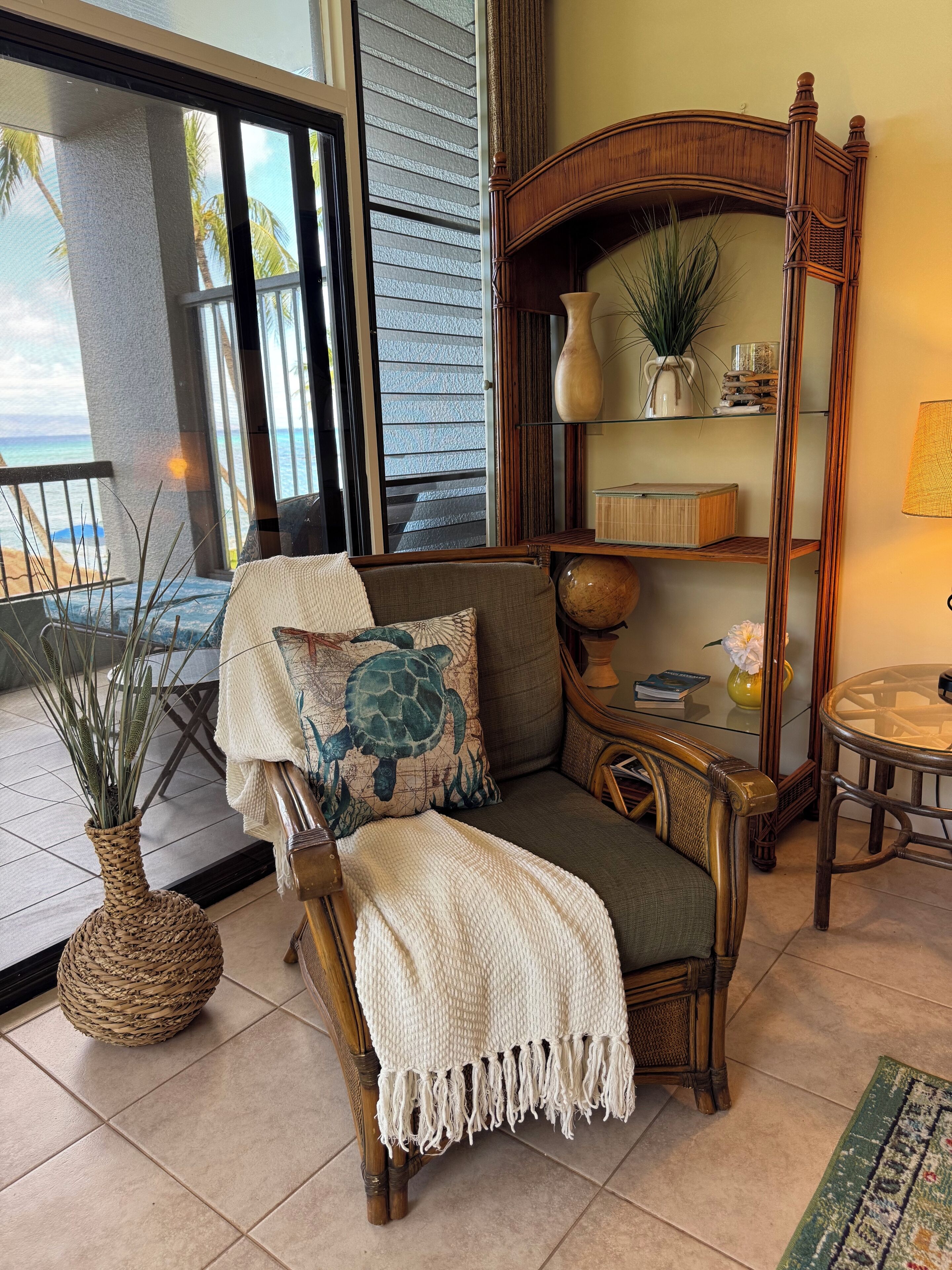 Televisión y reproductor de DVD 