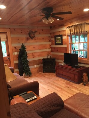 Fernseher, Kamin, DVD-Player