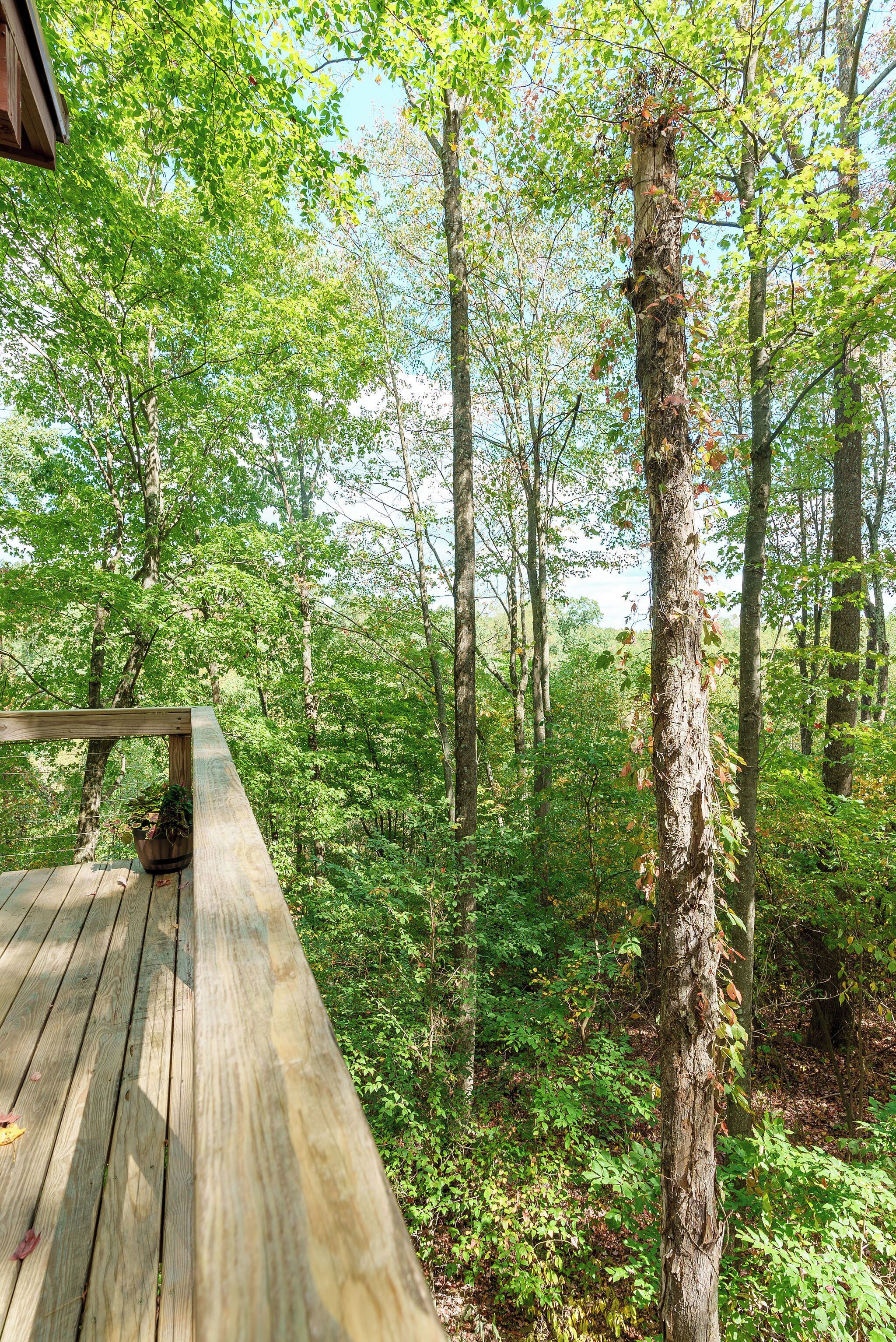 Une terrasse en bois donnant sur une zone boisée, avec de grands arbres et un feuillage dense.