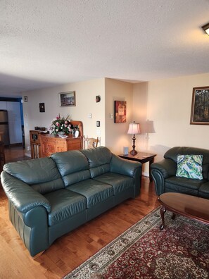 Smart TV, DVD player, books, stereo