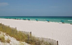 Plage, chaises longues