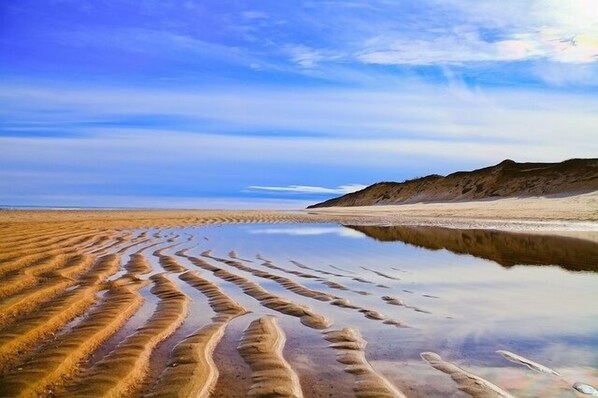 Beach nearby, sun-loungers - Bright and Spacious Cape House with Central Air (Wellfleet)