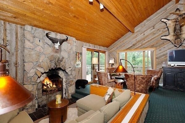 Smart TV, fireplace, DVD player, books
