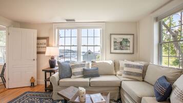 Tv, dvd-afspiller, bøger