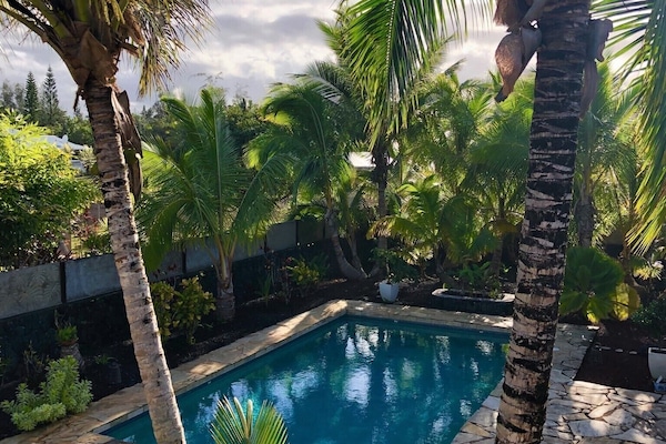 Welcome to Palm Tree Parasise!