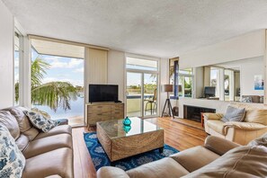 Smart TV, fireplace, books