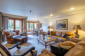 Smart TV, fireplace, books, video library