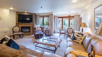Smart TV, fireplace, books, video library