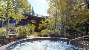 Un bain à remous entouré d’arbres, avec un pont en arrière-plan.