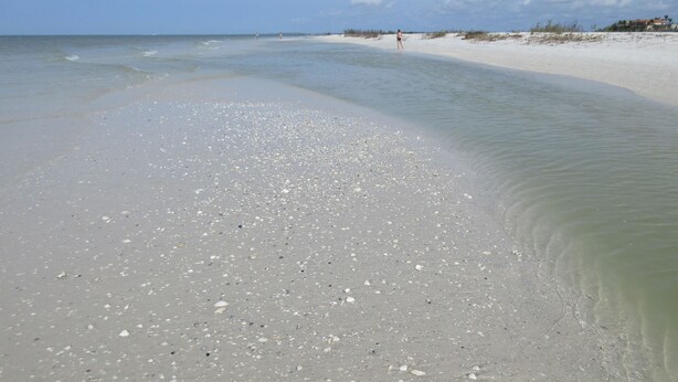 A beach with clear shallow waters and a sandy shore.
