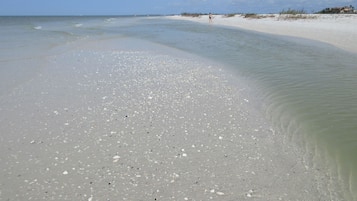 Plage à proximité, chaises longues, serviettes de plage